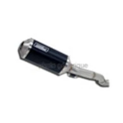 PRO RACING (SILENCIEUX SUPERPOSÉS, COUPELLE CARBONE) H + S