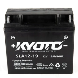 Batterie SLA12-19 Batterie SLA12-19