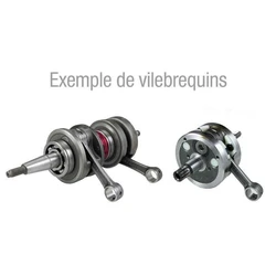 Vilebrequin complet pour Kawasaki Vilebrequin complet pour Kawasaki