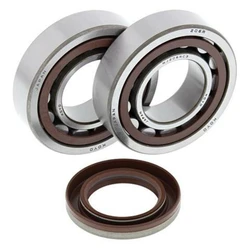 Kit roulement + spi de vilebrequin All Balls KTM SX-F450 Kit roulement + spi de vilebrequin All Balls KTM SX-F450
