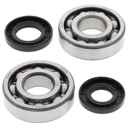 Kit roulement + spi de vilebrequin All Balls Kawasaki KX85/65 Kit roulement + spi de vilebrequin All Balls Kawasaki KX85/65