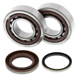 Kit roulement + spi de vilebrequin All Balls KTM Sx-F250 Kit roulement + spi de vilebrequin All Balls KTM Sx-F250