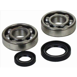 Kit roulement + spi de vilebrequin All Balls Yamaha YFZ350 Banshee Kit roulement + spi de vilebrequin All Balls Yamaha YFZ350 Banshee