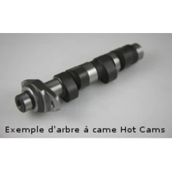 ACT stage 1 Hot Cams Polaris SPORTSMAN 500 01-13/HAWKEYE 400 11-13 ACT stage 1 Hot Cams Polaris SPORTSMAN 500 01-13/HAWKEYE 400 11-13