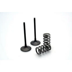 KIT soupapes d'admission ACIER pour LTR450 '06-11 KIT soupapes d'admission ACIER pour LTR450 '06-11