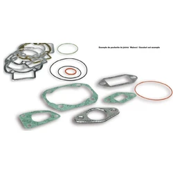 Kit joints moteur complet MALOSSI Ø47 pour groupe thermique 051136 Kit joints moteur complet MALOSSI Ø47 pour groupe thermique 051136