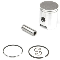 Piston de rechange Airsal pour KIT 059009 Piston de rechange Airsal pour KIT 059009