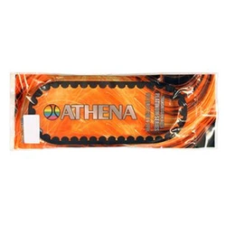 Courroie Haute Performance Courroie Haute Performance