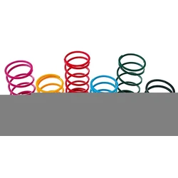 Ressorts de Variateur 27kg Ø46mm Ressorts de Variateur 27kg Ø46mm