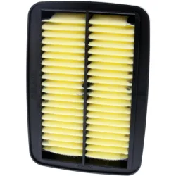 CHAMPION CHAMPION