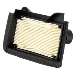 Filtre à Air Carter Gauche YAMAHA T-MAX 530 (17/19)