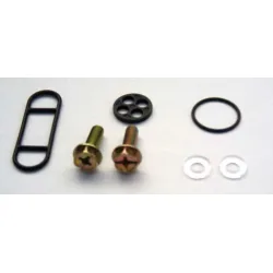 KIT REPARATION de ROBINET D'ESSENCE pour KL600, KZ305 KIT REPARATION de ROBINET D'ESSENCE pour KL600, KZ305