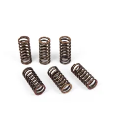 Kit Ressorts d'embrayage (4pcs) KTM Kit Ressorts d'embrayage (4pcs) KTM