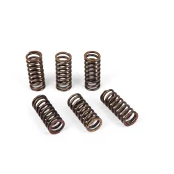 Kit Ressorts d'embrayage (4pcs)