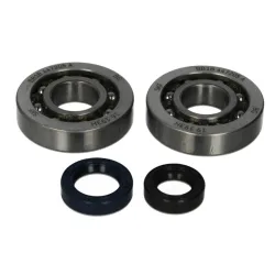 Kit roulements et spys de vilebrequin Athena Peugeot BUXY/TREKKER/VIVACITY