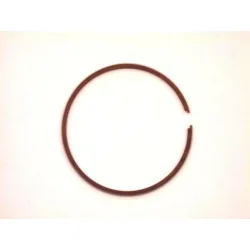 Segment unique 48.5mm Segment unique 48.5mm